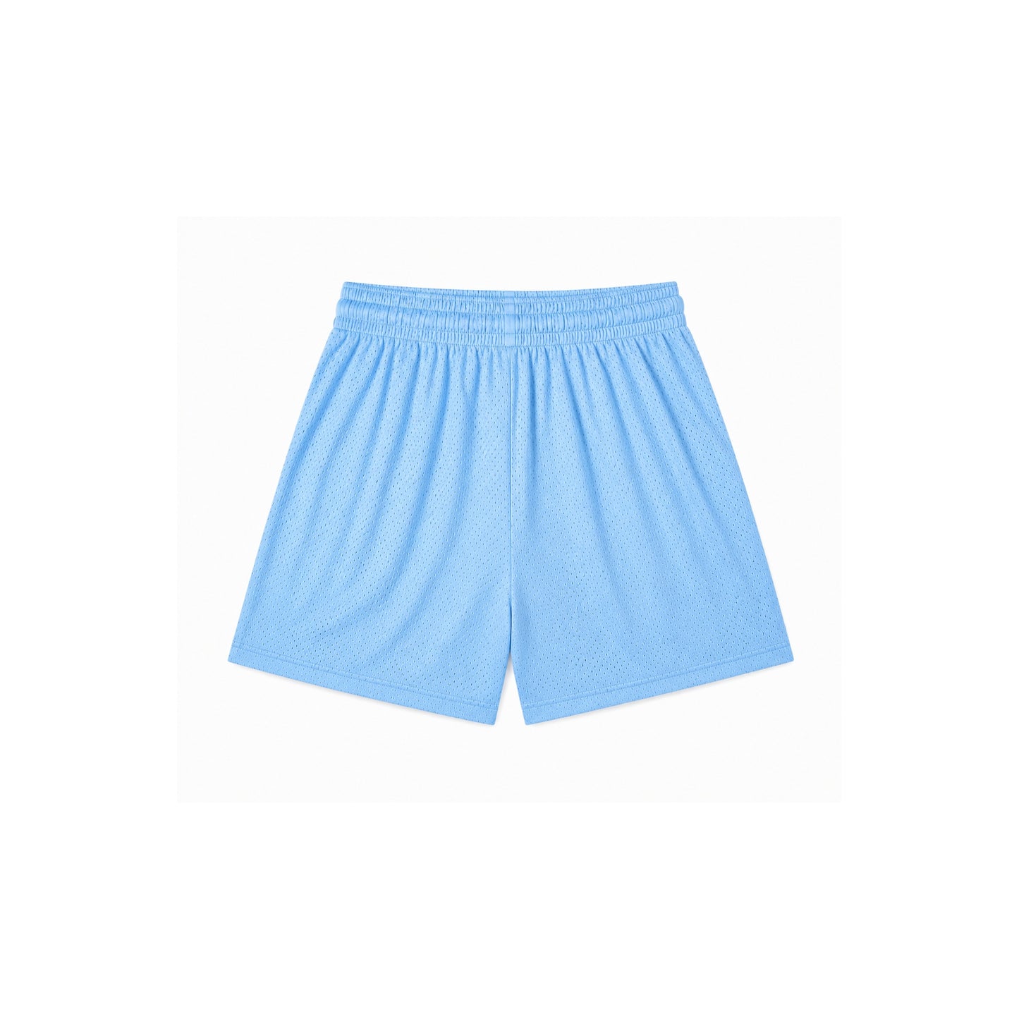 Brain Box PE Shorts (Light Blue)